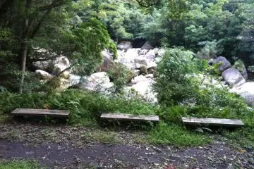 Have a little picnic here right by the edge of the river!