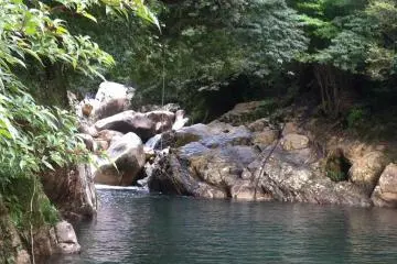 Grab a rope and swing into the water!
