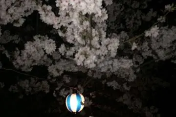 제등도 컬러풀