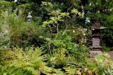 Temple grounds