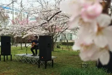Live music!