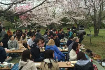 Party goers watch traditional Japanese music from a shamisen player.