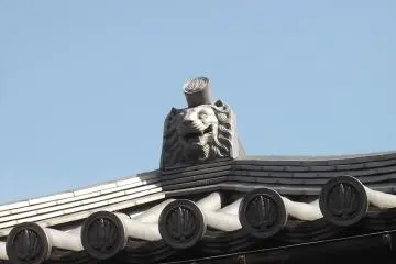 A lion's face watching from above
