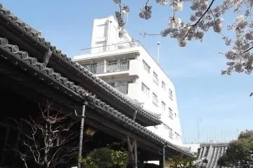대청을 장식하는 벚꽃들