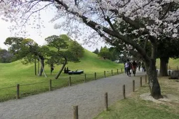 Festival Sakura Suizenji