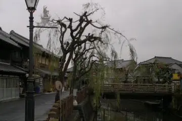 The canal turned green because of the rain