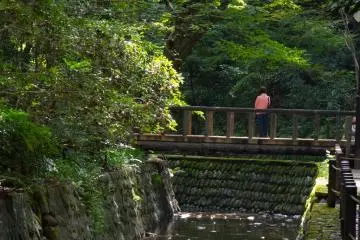 Yazawa River down in the valley