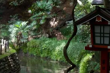 But where is Tarzan?!