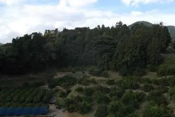 Looking out at the hills behind the temple