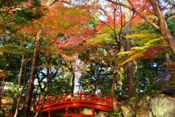 Red Japanese bridge