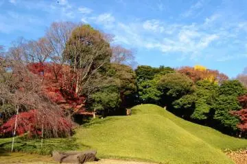 Man-made hills provide great views over the garden