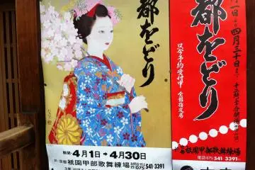The hanami season also coincides with the Miyako odori in Kyoto, where Maiko celebrate the beginning of spring with dance at the theaters of Gion