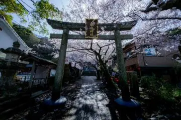 Grilled Rice Cakes at Kasuga Shrine