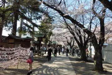 One of many long pathways located towards the backend of this shrine