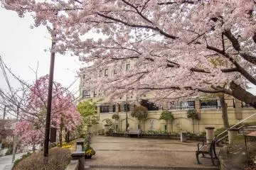 There are many opportunities to take a rest whilst enjoying the colorful sights!