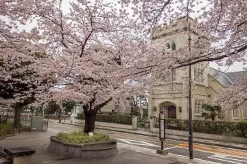 On the other side of the road is Yamate Church, one of several churches found within this neighborhood 