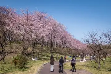 ผู้คนกำลังชื่นชมภาพที่มีสีสันงดงาม