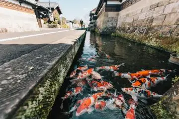 Photo: Kazuhiko Watanabe