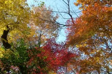 Later in the fall, you`re more likely to have clear skies to enhance the view