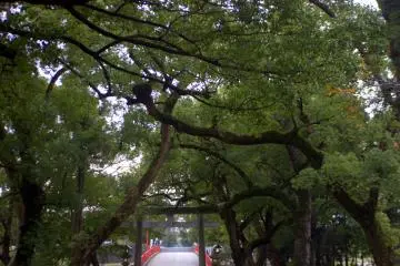 Haraigawa-bashi as seen from within the shrine grounds