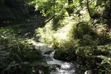 <p>A path runs up alongside the brook from the car park and shops to the falls</p>