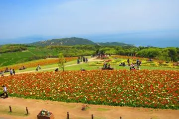 Discovering Awajishima 
