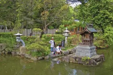 Part of the Izanagi Shrine compound
