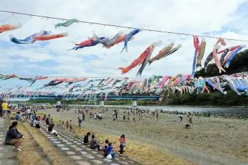 Learn more at http://www.oyoge-koinobori.com