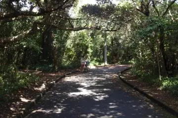 Easy riding, Shikine-jima by bike
