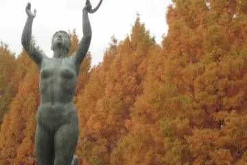 Autumn Colors, Central Park (Chuo Koen).