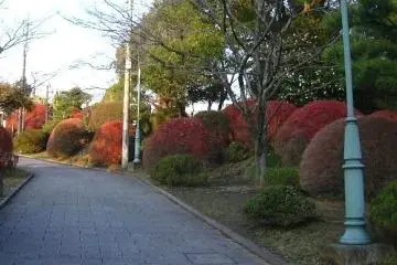 Hachimanyama Park