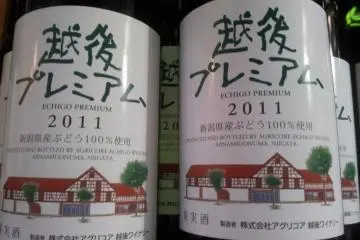 Echigo Wine - plenty of different wines to try