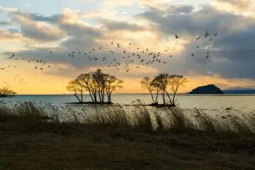 Nagahama, Shiga (Photo: yoko_ken_chan / Shutterstock.com)