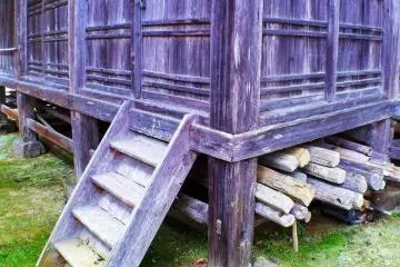 <p>Kayu lapuk yang indah.</p>