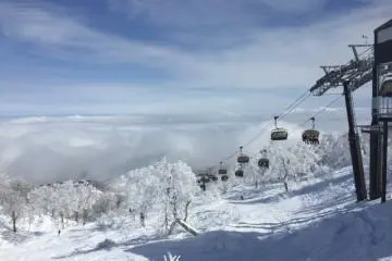 Nozawa Onsen