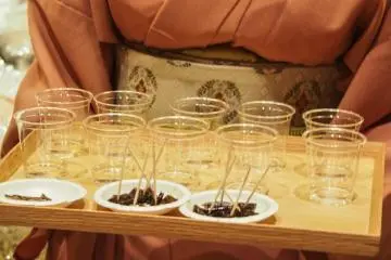 Kelp samples.