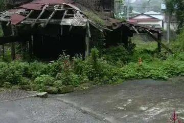 Of all the places I took my mother in Japan, she liked Ohya best. We went there by bicycle. Greenery is abundant and seems to taking over. We saw quite a few derelict homes like this. The stone industry was far bigger years ago (Photo: S. C. Kurokawa)
