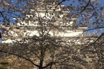 The gorgeous view from our tarp on the grass