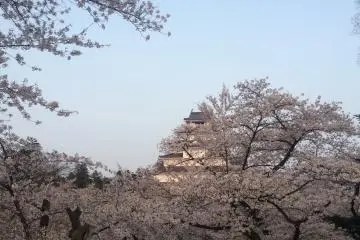 The view of the castle on top of the wall