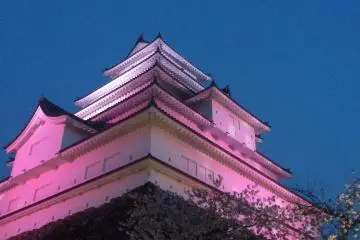 The castle and moon at night