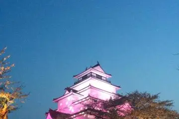 The castle behind the cherry trees