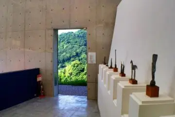 The view from inside