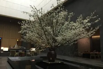 Flowers in the lobby