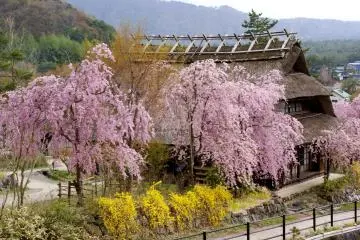Il est possible de voir le mont Fuji par temps clair