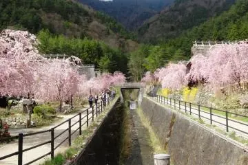 Le village est facile d'accès en bus à partir de la station Kawaguchiko