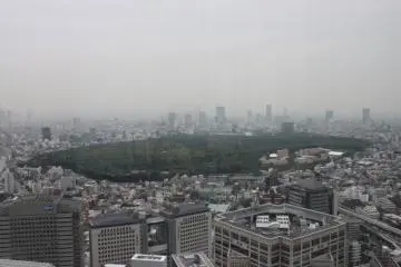 Discovering Meiji Shrine