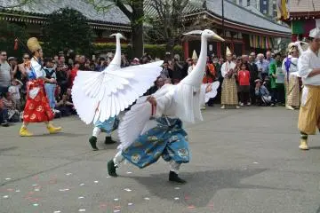 So graceful!