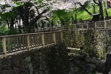 คลองสวยที่เราไปเจอ