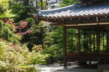 A sunny spring day at the garden.