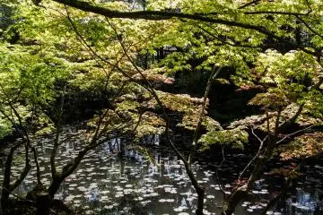 A sunny spring day at the gardens.